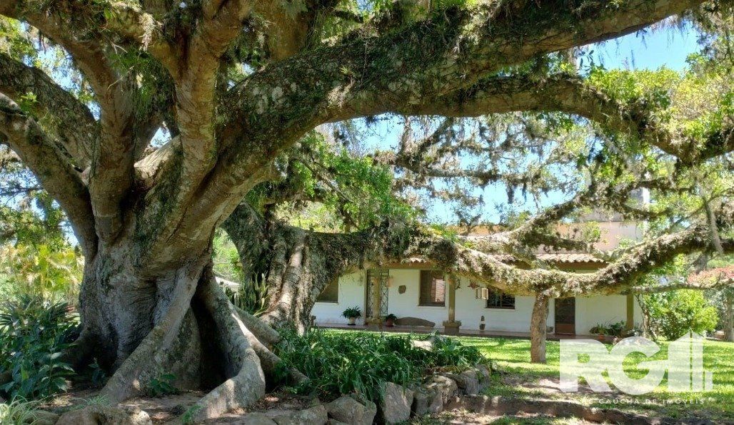 Sítio, 3 quartos, 10000 m² - Foto 7