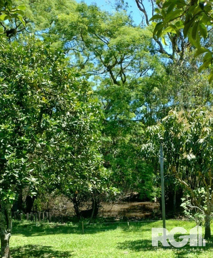 Sítio, 3 quartos, 10000 m² - Foto 26