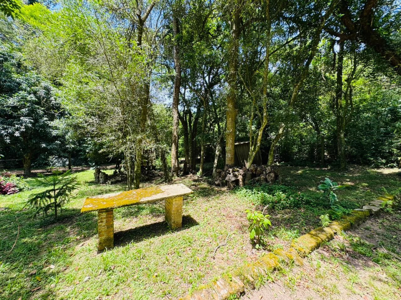 Chácara, 3 quartos, 3200 m² - Foto 22