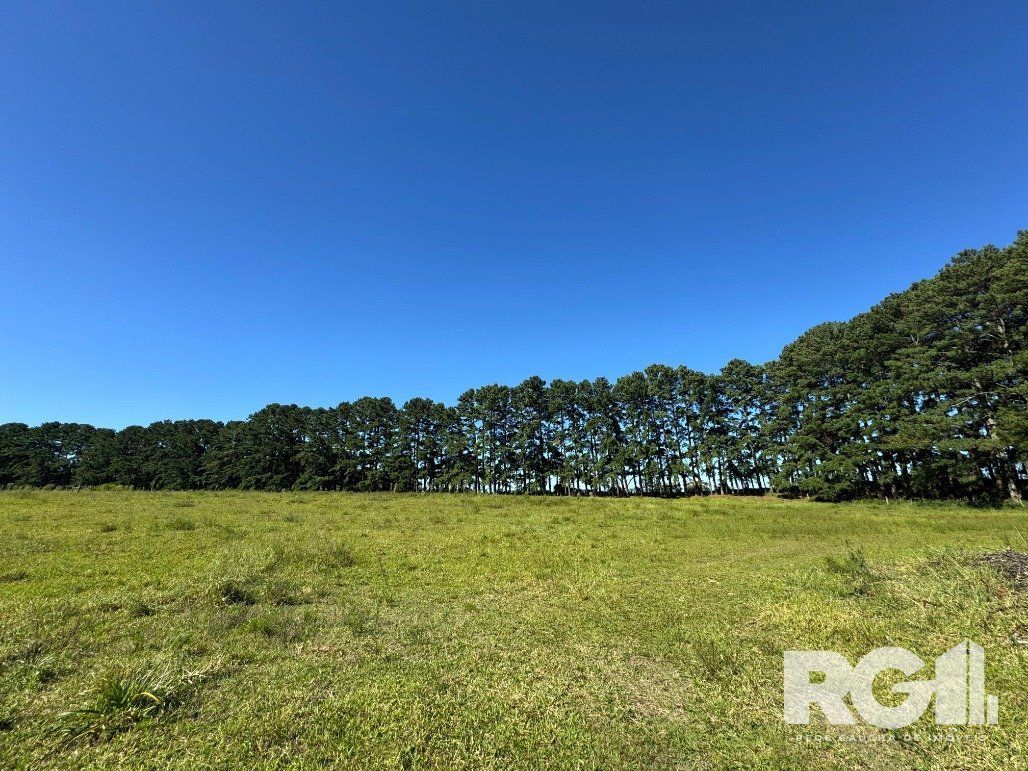 Fazenda à venda com 3 quartos, 141m² - Foto 17
