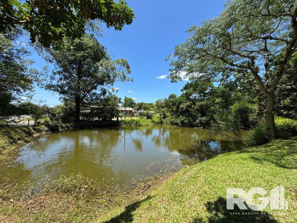 Sítio à venda com 4 quartos, 120m² - Foto 30