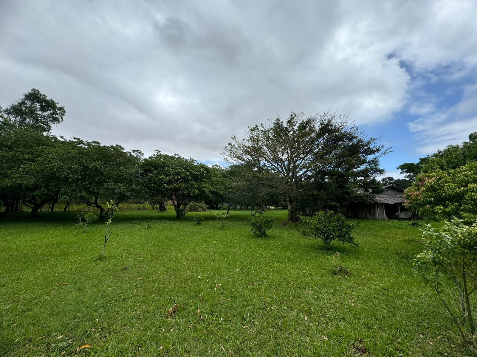 Sítio à venda com 1 quarto, 63m² - Foto 32