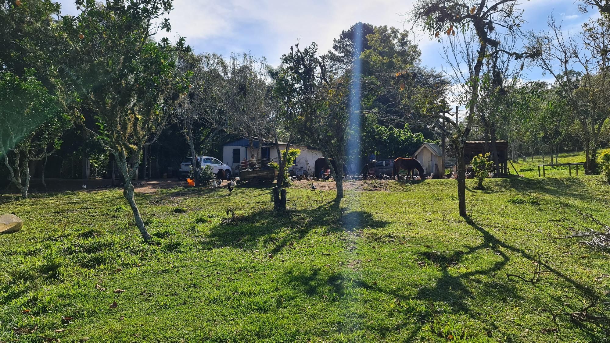 Chácara à venda com 2 quartos, 1m² - Foto 9