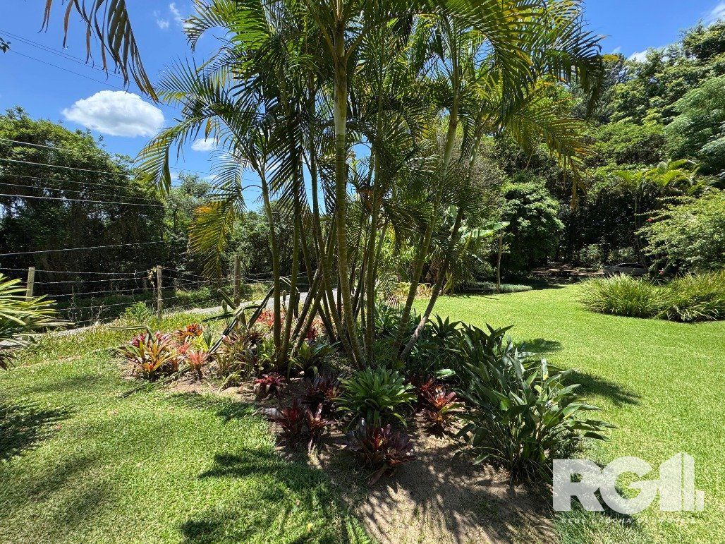 Sítio à venda com 4 quartos, 120m² - Foto 28
