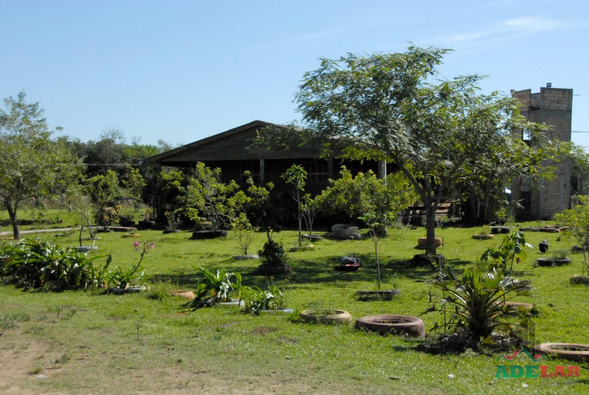 Chácara, 2 quartos, 2 hectares - Foto 19