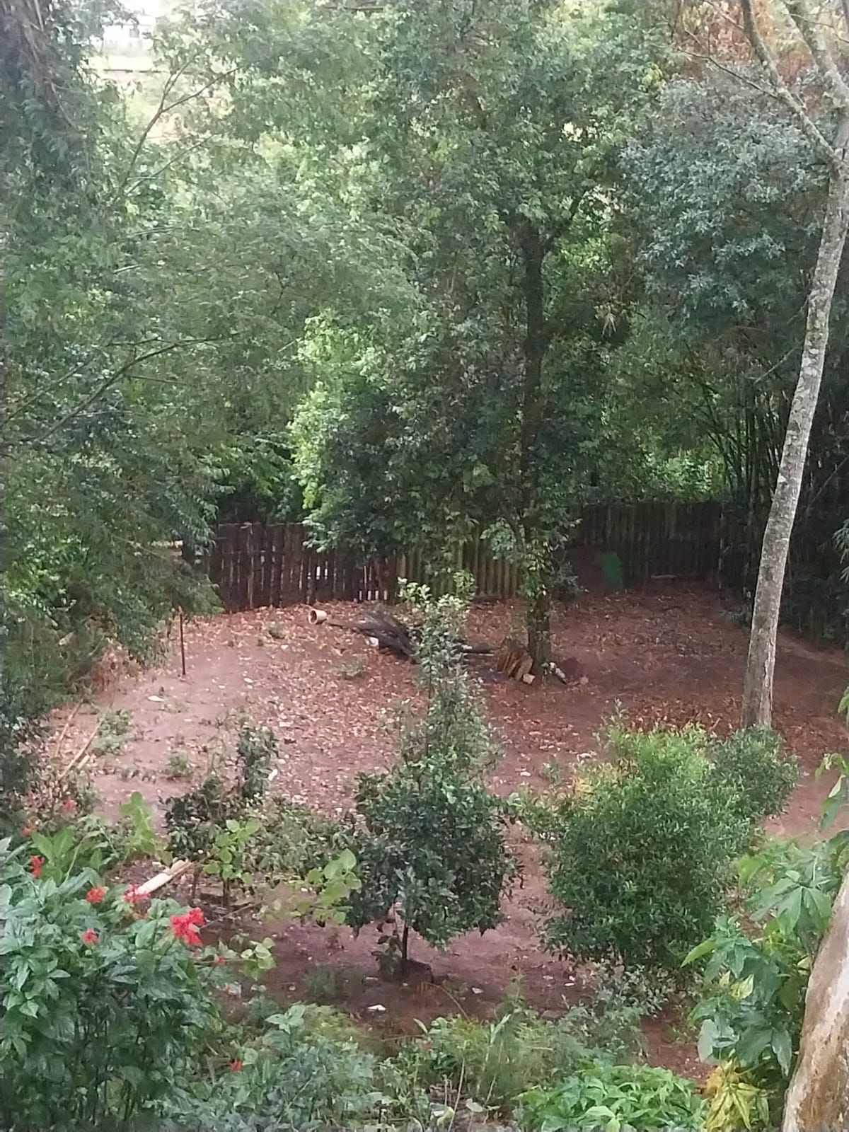 Casa, 3 quartos, 70 m² - Foto 10