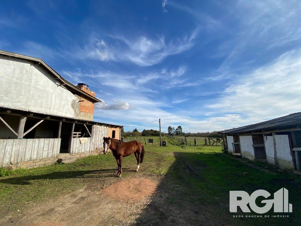 Sítio, 1 quarto, 2 hectares - Foto 5