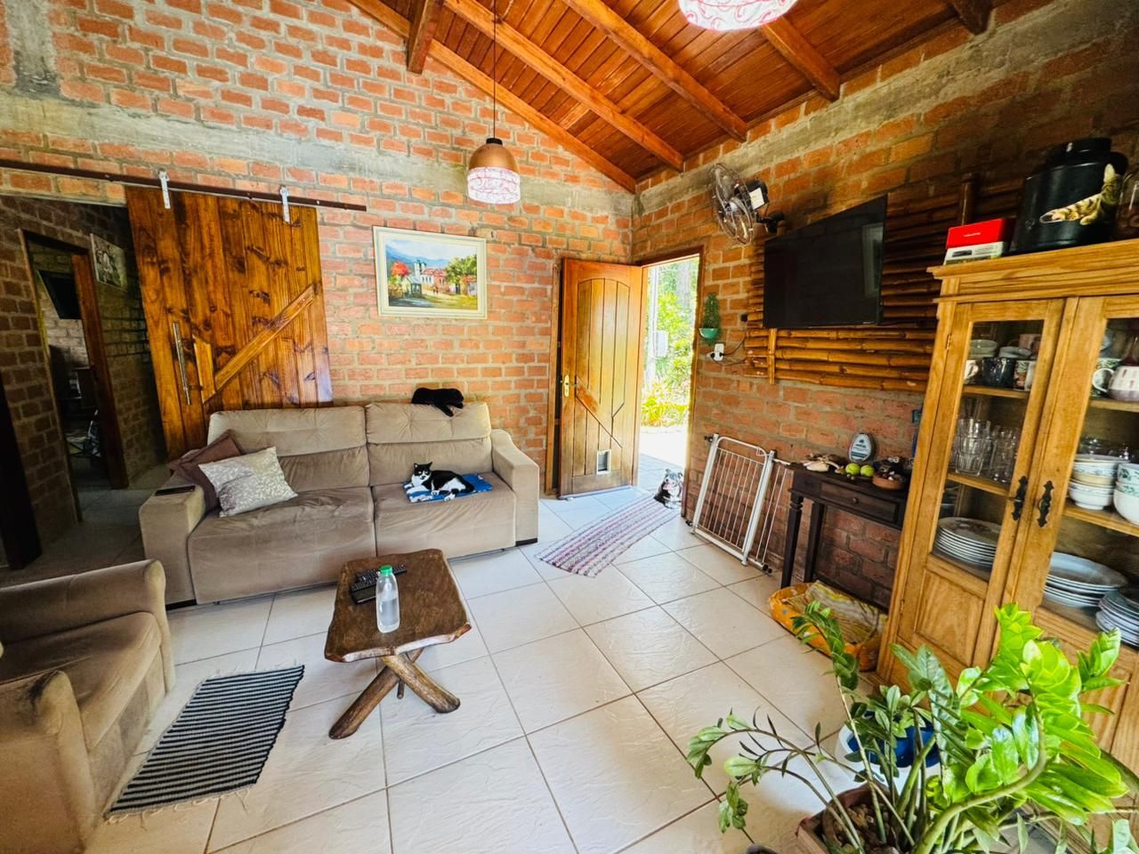 Chácara, 3 quartos, 3200 m² - Foto 6