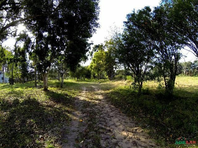 Sítio à venda com 1 quarto, 390000m² - Foto 59