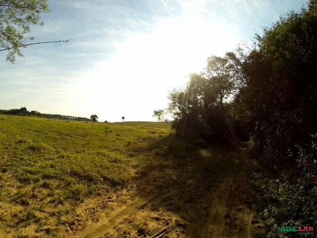 Sítio à venda com 1 quarto, 390000m² - Foto 54