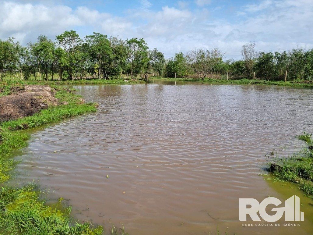 Chácara, 2 quartos, 2 hectares - Foto 81