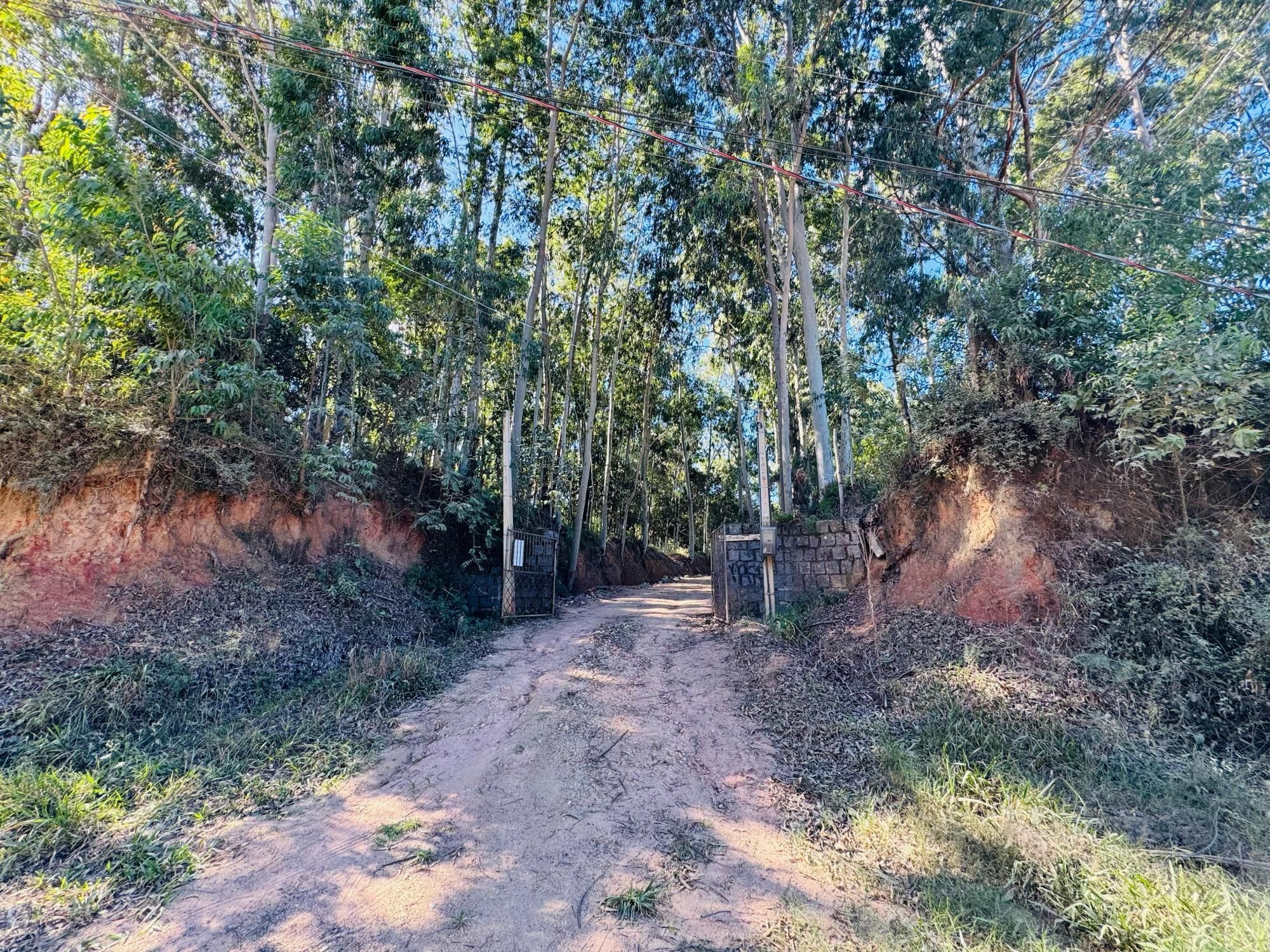 Depósito-Galpão-Armazém à venda, 1m² - Foto 10