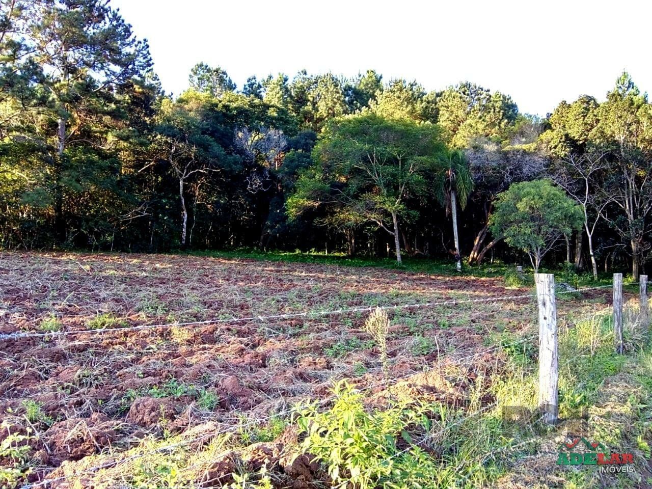 Sítio à venda com 2 quartos, 30000m² - Foto 103