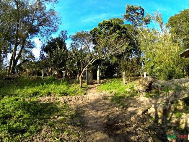 Sítio à venda com 1 quarto, 390000m² - Foto 70