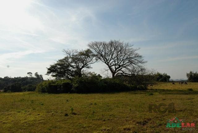 Sítio à venda com 1 quarto, 390000m² - Foto 39