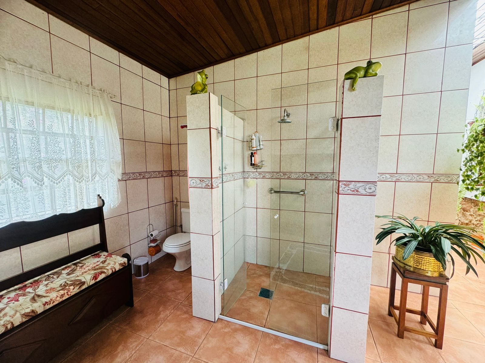 Sítio, 3 quartos, 10000 m² - Foto 19