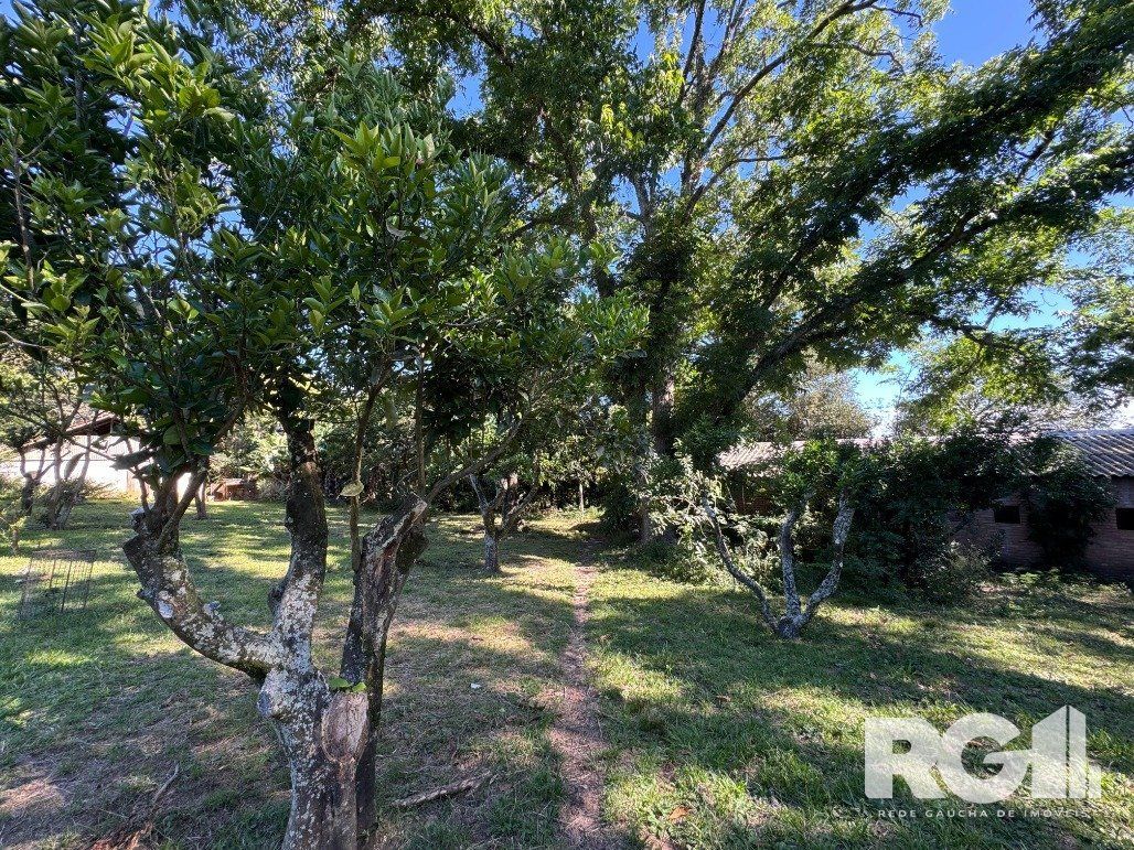 Fazenda à venda com 3 quartos, 141m² - Foto 11