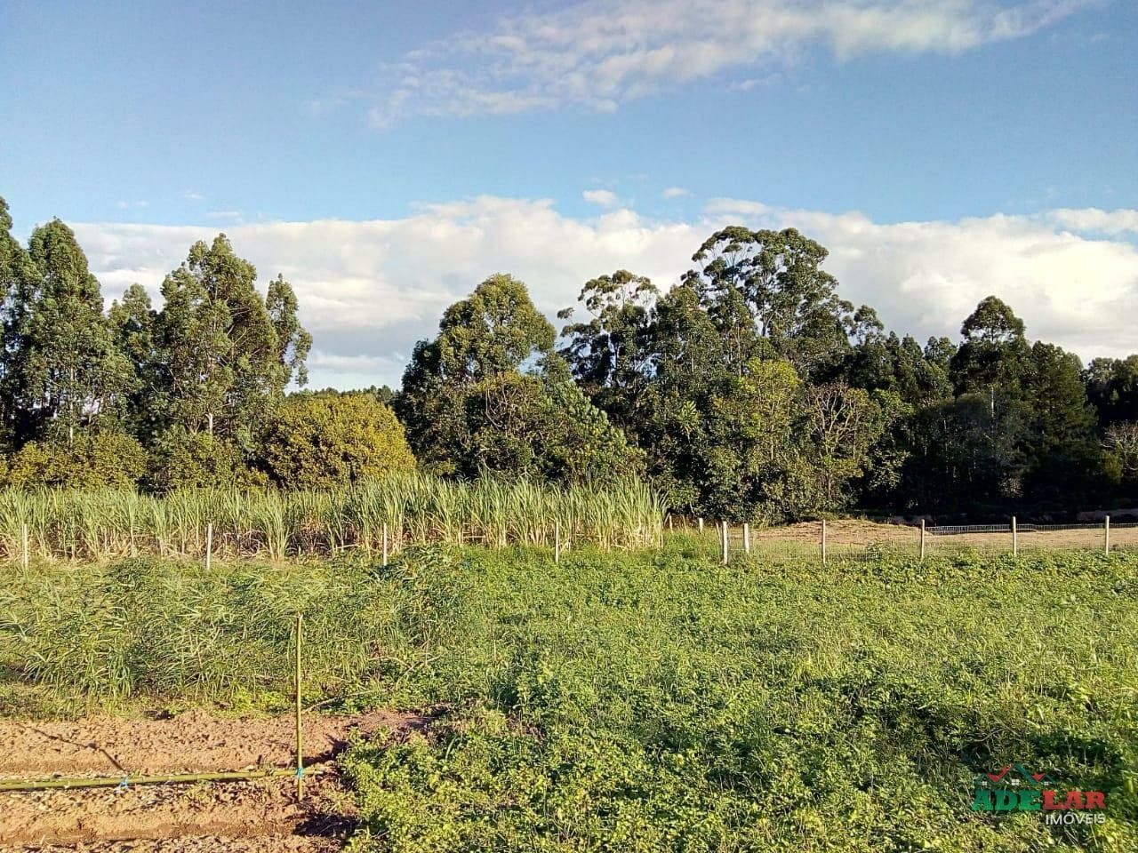 Sítio à venda com 2 quartos, 30000m² - Foto 97
