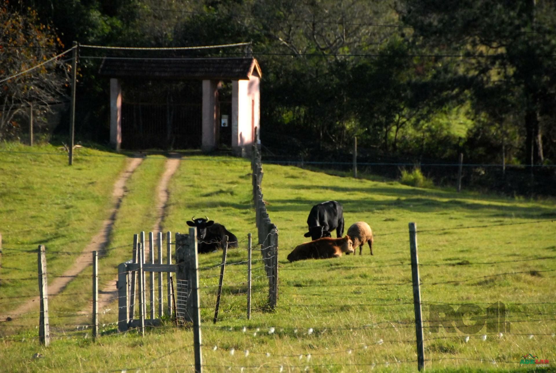 Sítio à venda com 2 quartos, 30000m² - Foto 41
