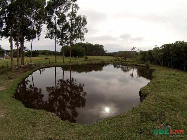Sítio à venda com 4 quartos, 28571m² - Foto 31