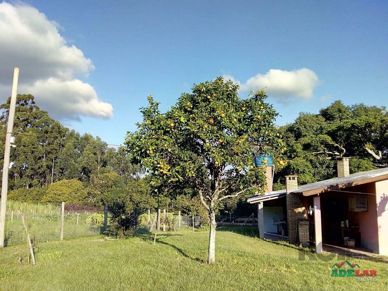 Sítio à venda com 2 quartos, 30000m² - Foto 26
