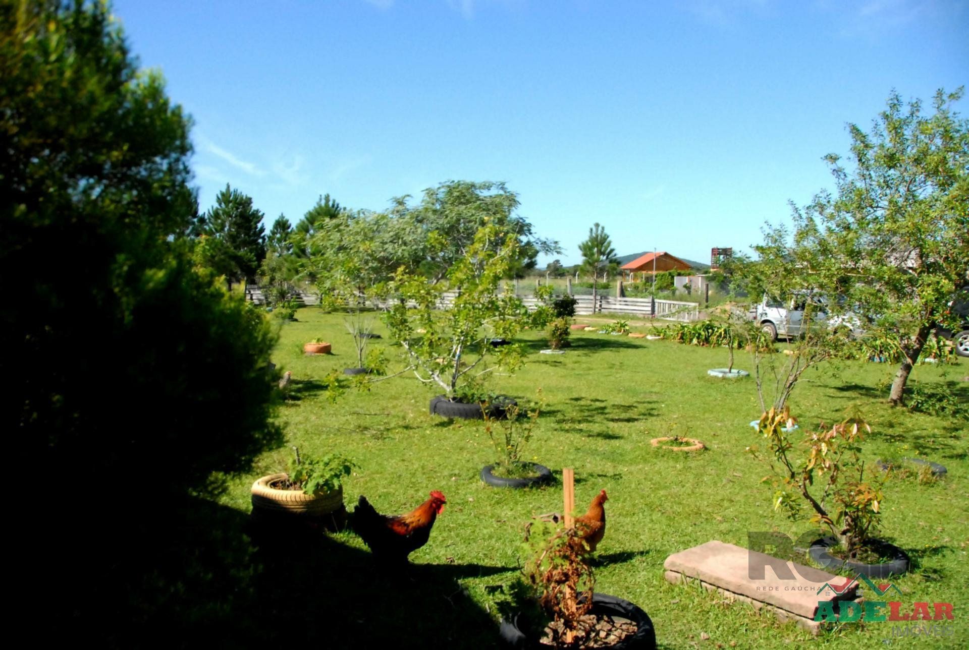 Chácara, 2 quartos, 2 hectares - Foto 36