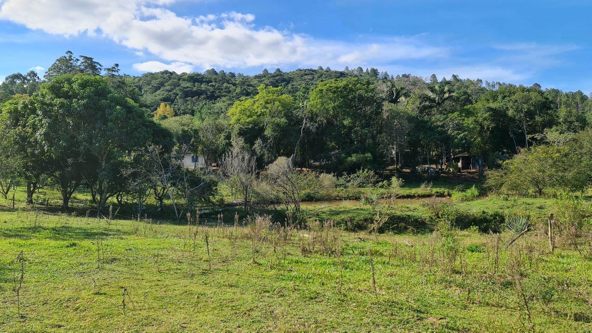 Chácara à venda com 2 quartos, 1m² - Foto 19