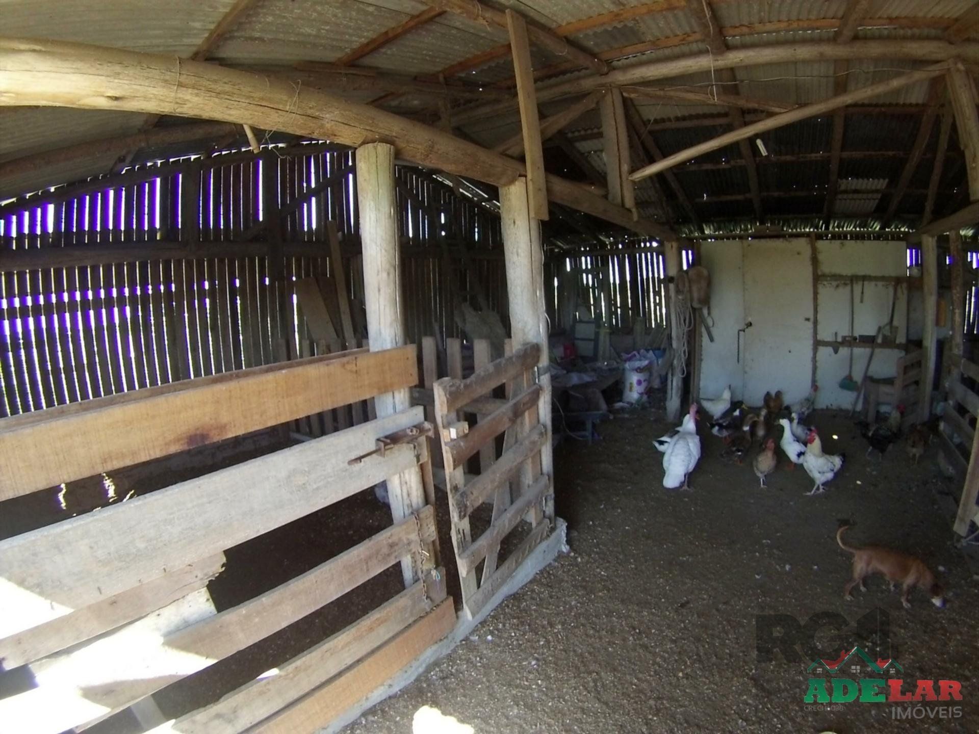 Chácara, 2 quartos, 2 hectares - Foto 69