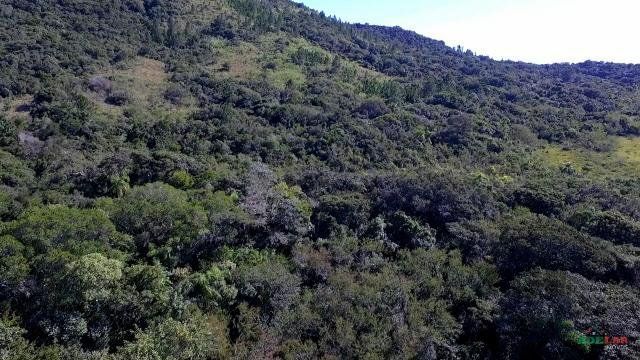 Sítio à venda com 1 quarto, 261500m² - Foto 9