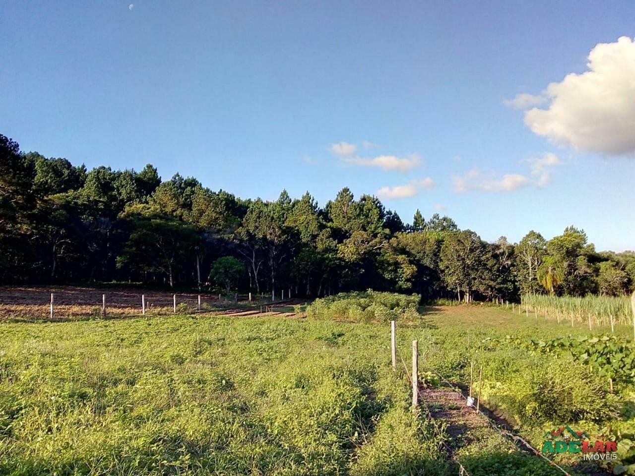 Sítio à venda com 2 quartos, 30000m² - Foto 94