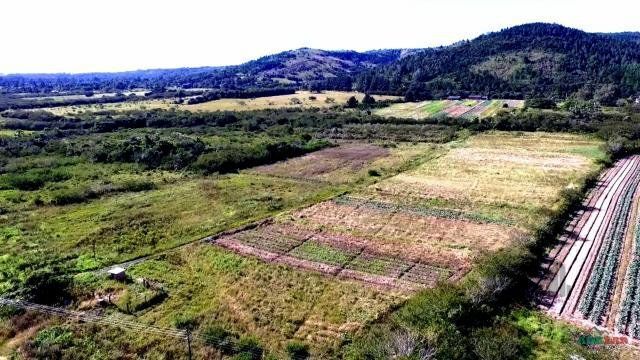 Sítio à venda com 1 quarto, 261500m² - Foto 6
