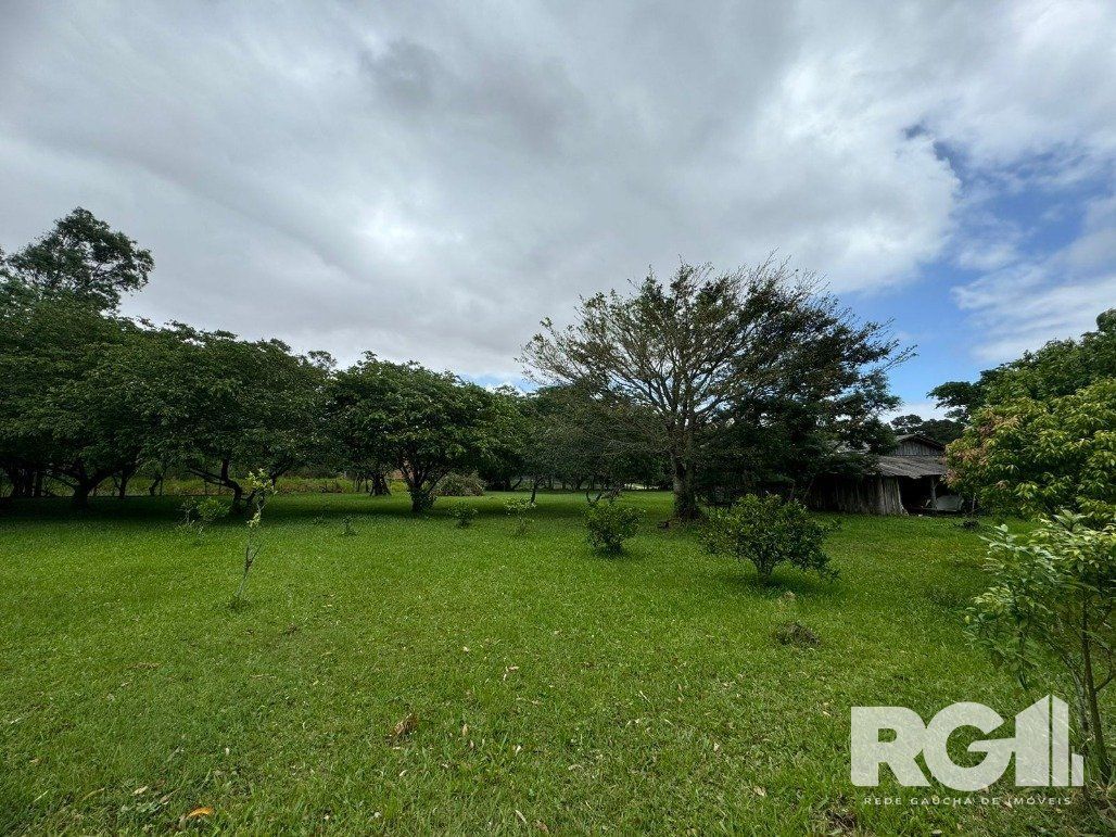 Sítio à venda com 1 quarto, 62m² - Foto 35