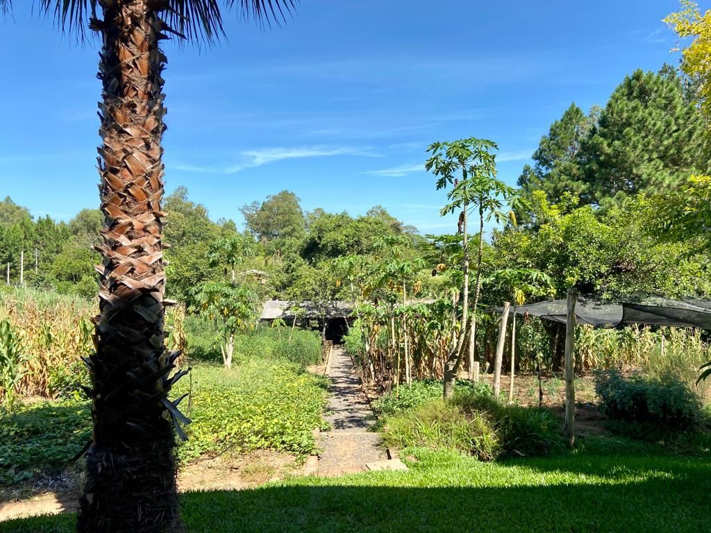 Sítio à venda com 4 quartos, 300m² - Foto 42