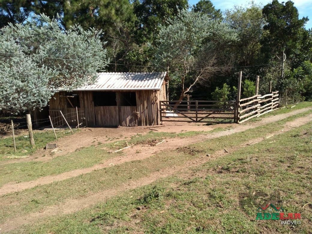 Sítio à venda com 4 quartos, 76737m² - Foto 7
