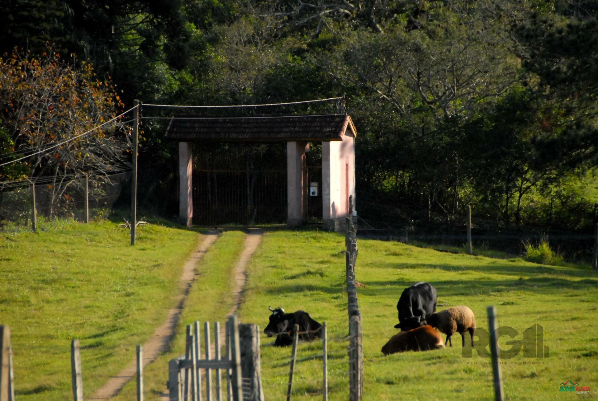 Sítio à venda com 2 quartos, 30000m² - Foto 42