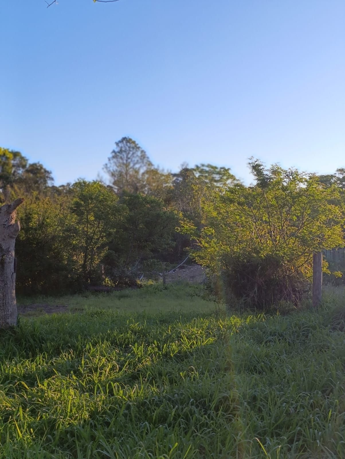 Terreno no bairro Lageado