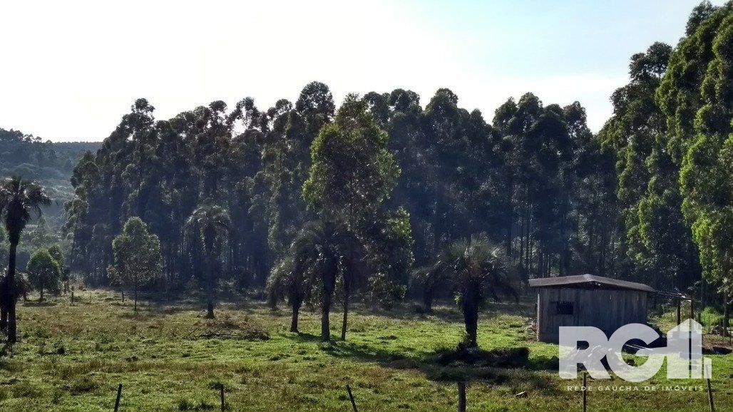 Sítio à venda com 2 quartos, 100m² - Foto 4