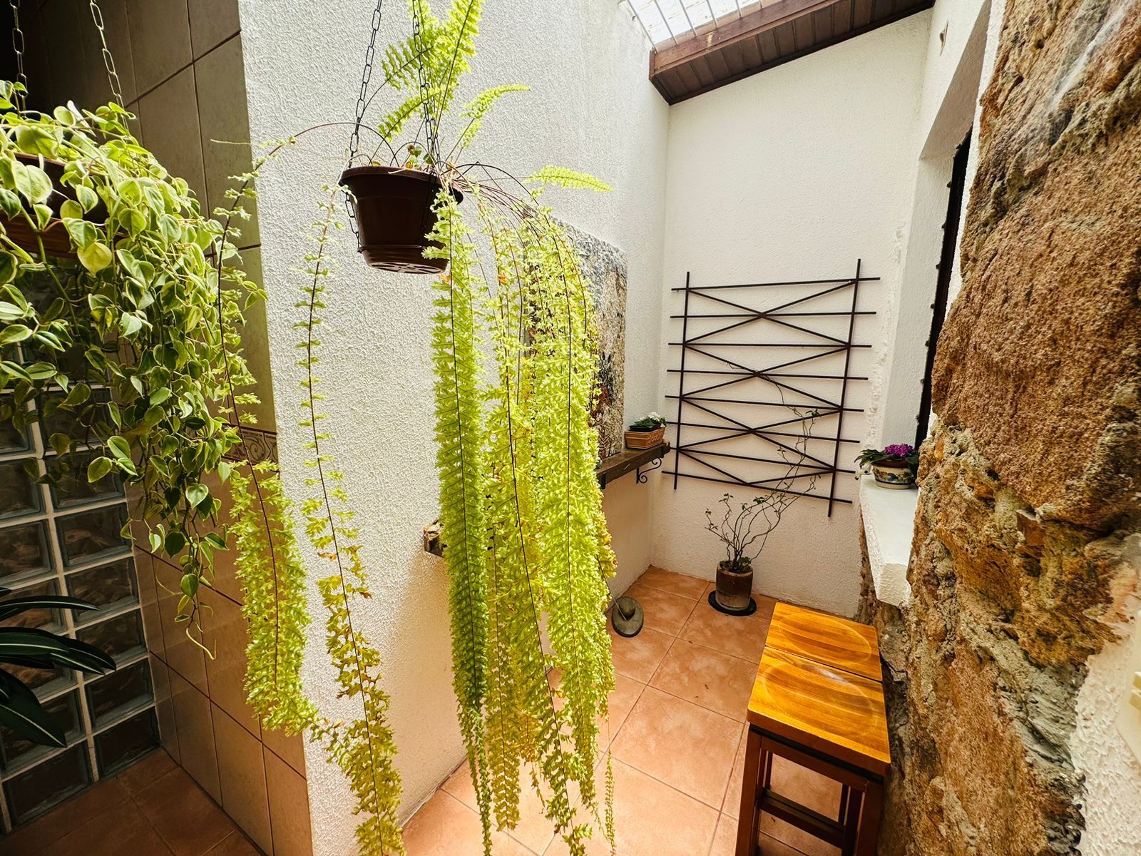 Sítio, 3 quartos, 10000 m² - Foto 20