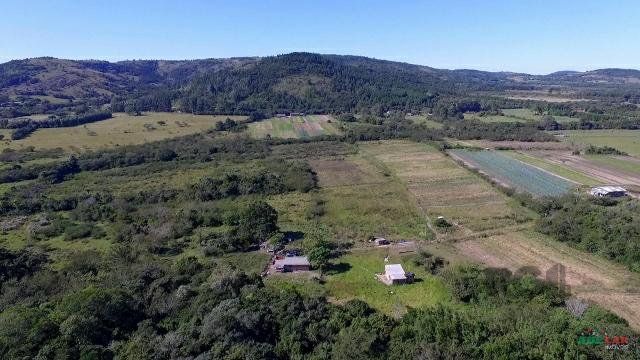 Sítio à venda com 1 quarto, 261500m² - Foto 3