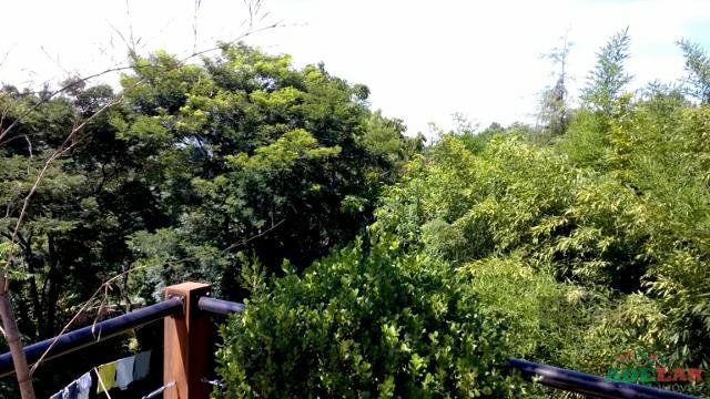 Casa, 4 quartos, 254 m² - Foto 27