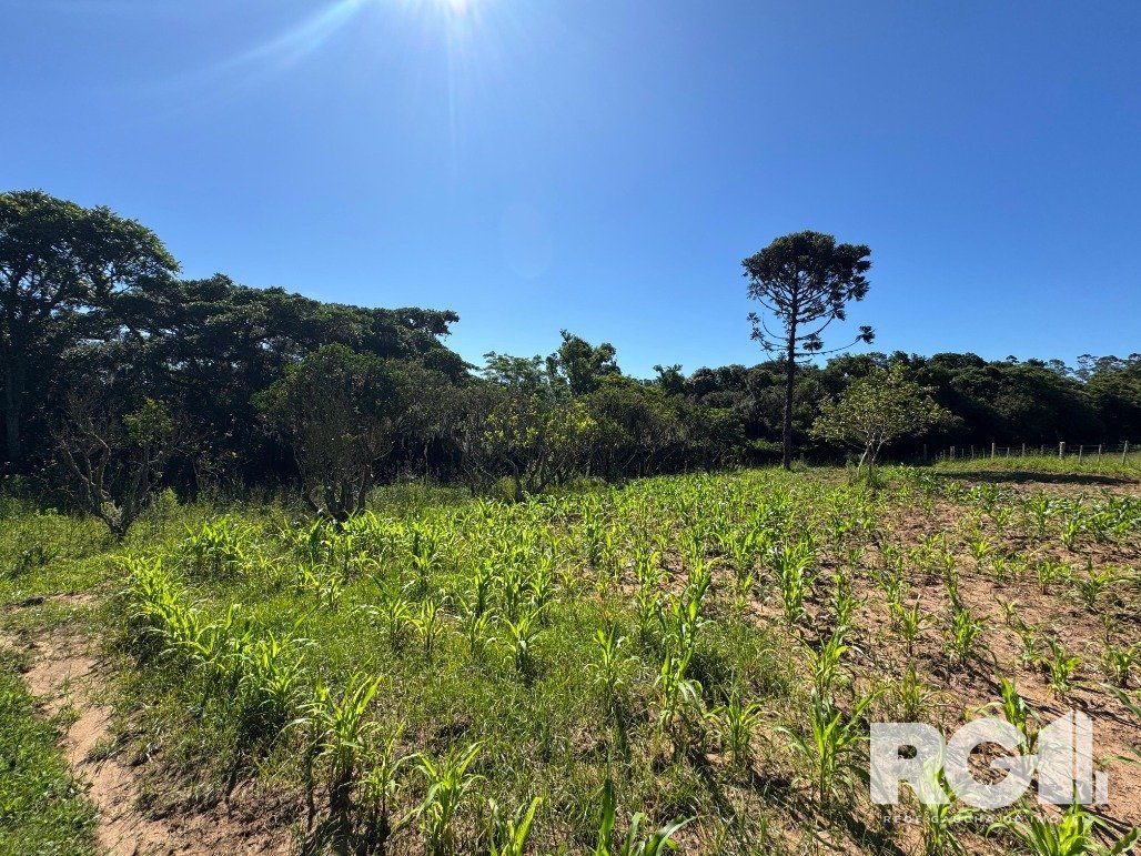 Fazenda à venda com 3 quartos, 141m² - Foto 19