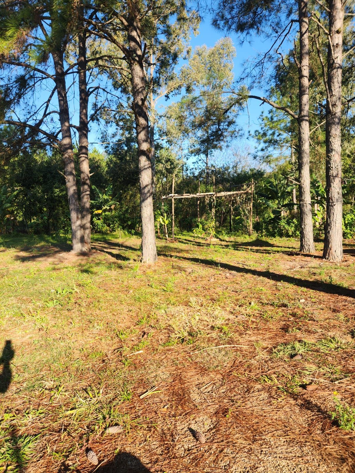 Sítio à venda com 2 quartos, 54m² - Foto 31