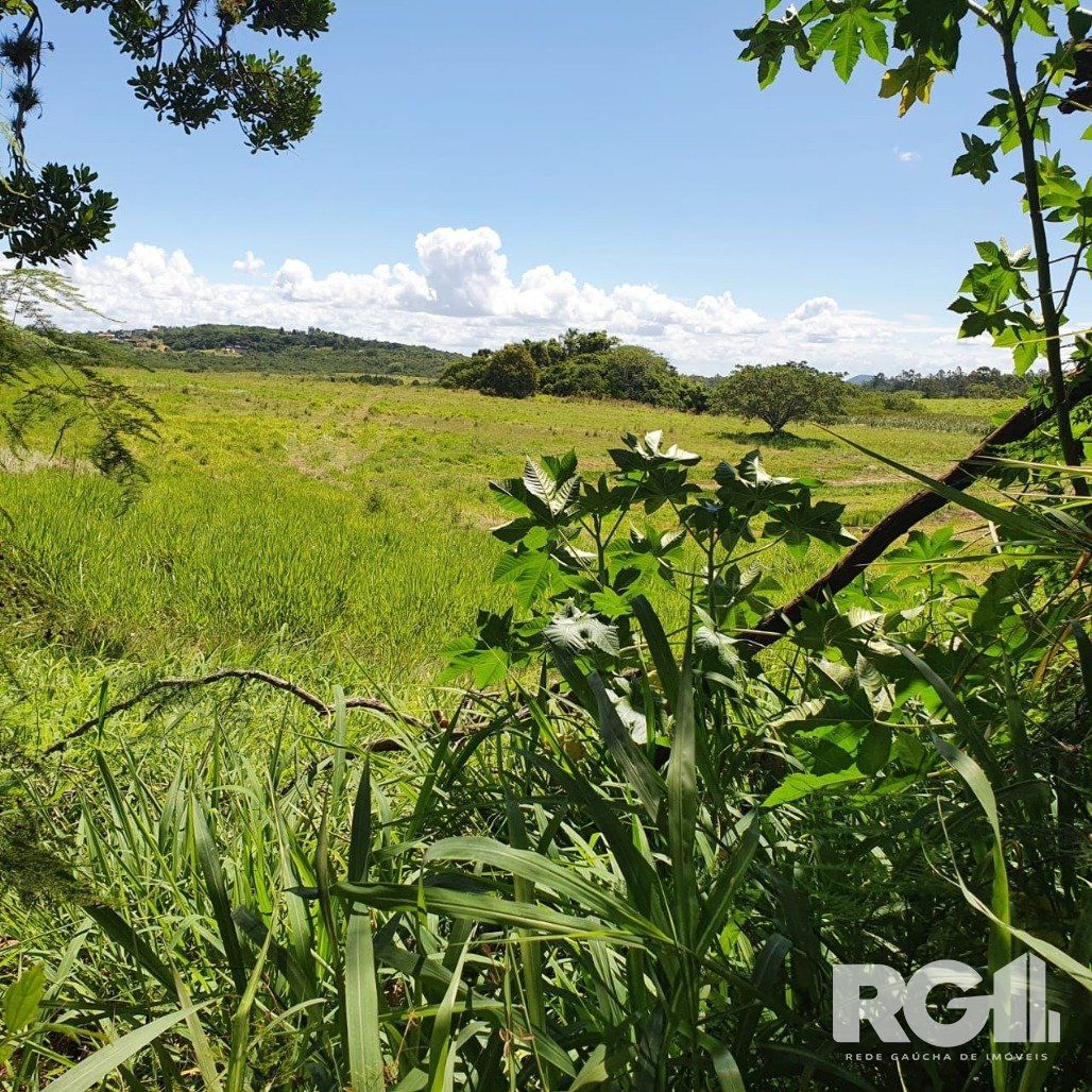 Terreno, 1000 m² - Foto 5