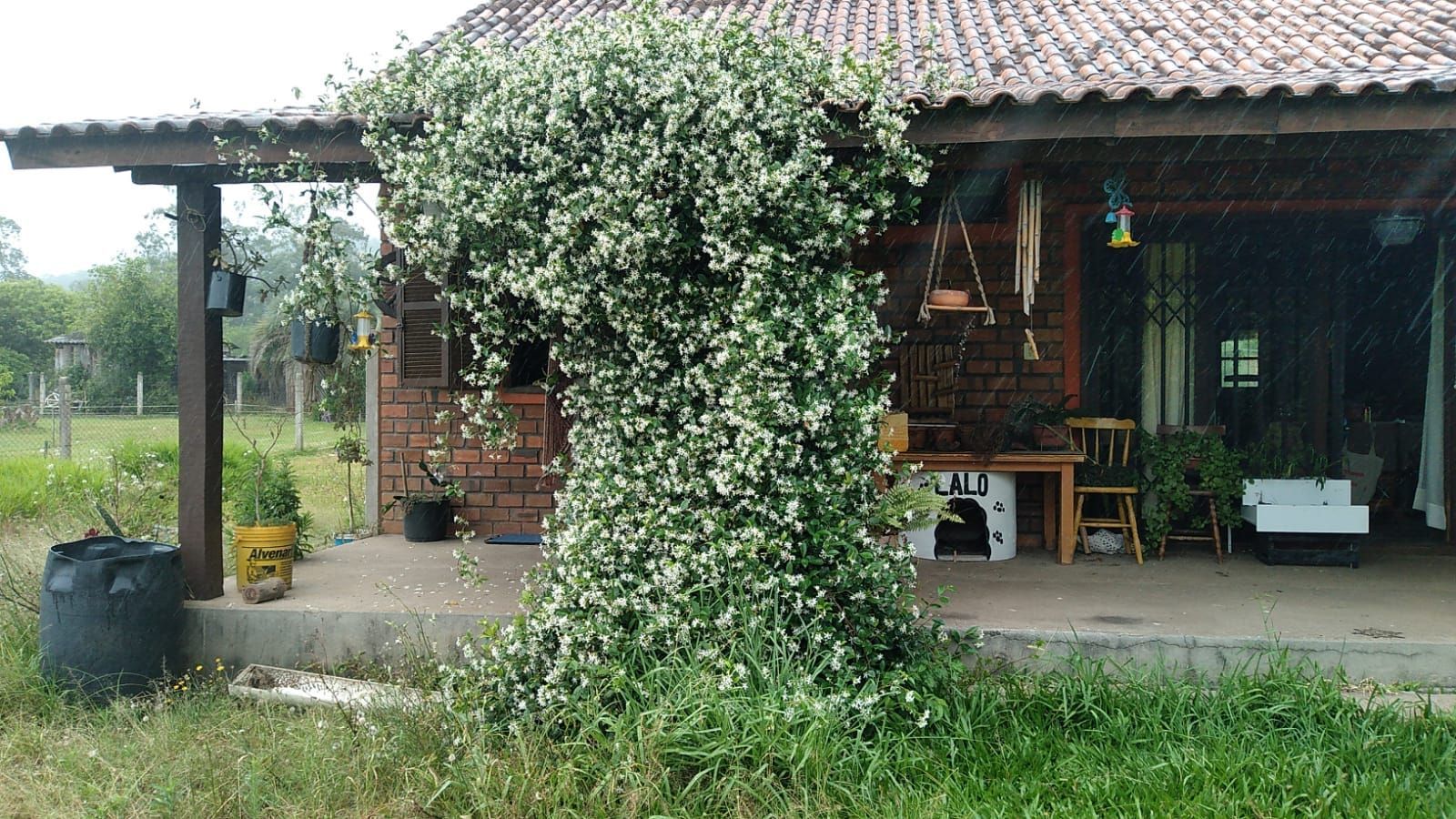Sítio à venda com 2 quartos, 74m² - Foto 8