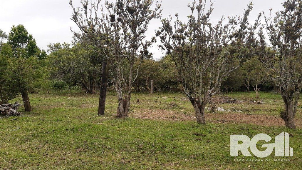 Sítio à venda com 2 quartos, 6611m² - Foto 18