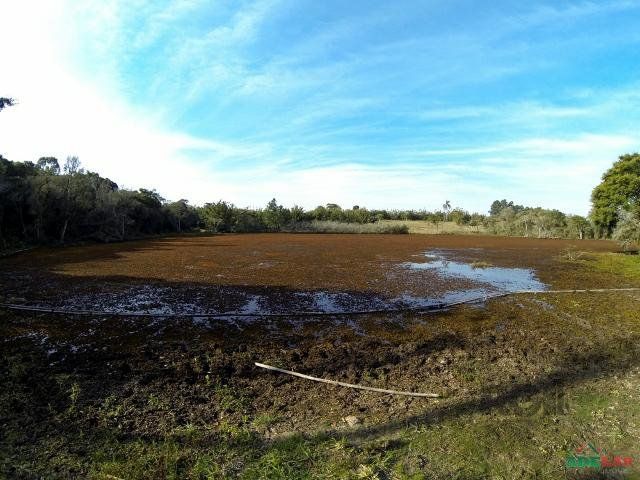 Sítio à venda com 1 quarto, 390000m² - Foto 67