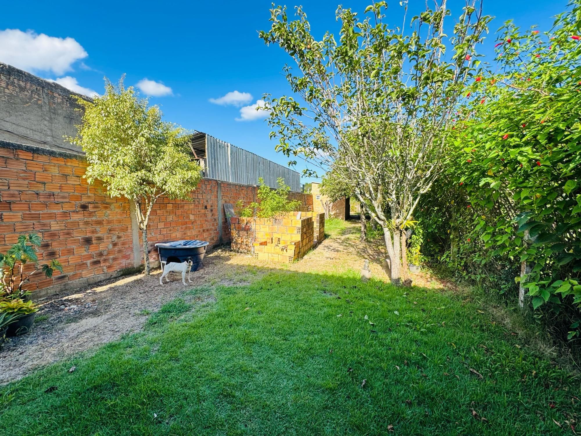 Casa, 2 quartos, 70 m² - Foto 3