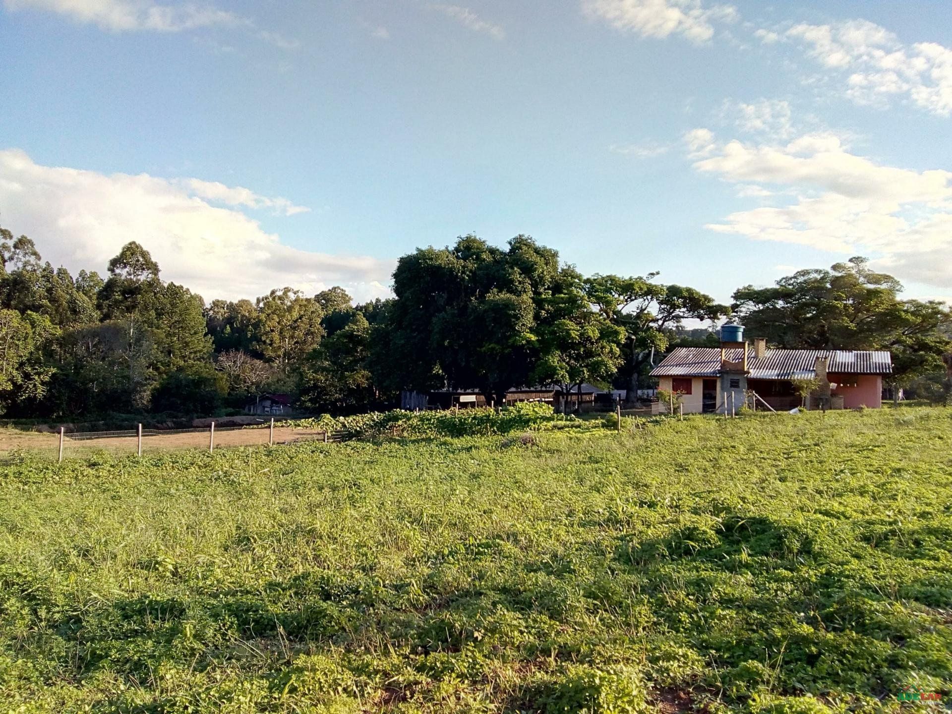 Sítio à venda com 2 quartos, 30000m² - Foto 38