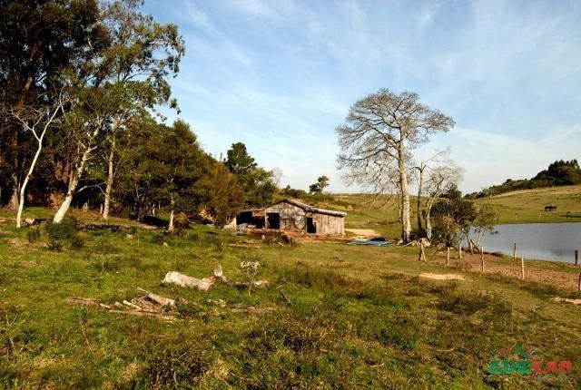 Sítio à venda com 1 quarto, 390000m² - Foto 15