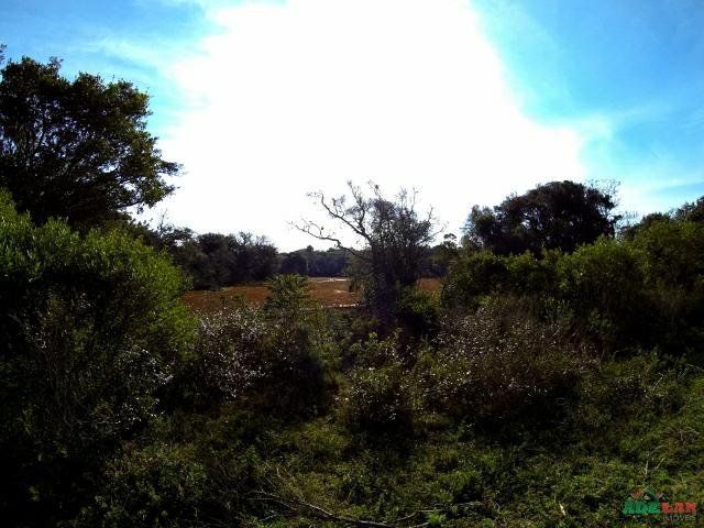 Sítio à venda com 1 quarto, 390000m² - Foto 45